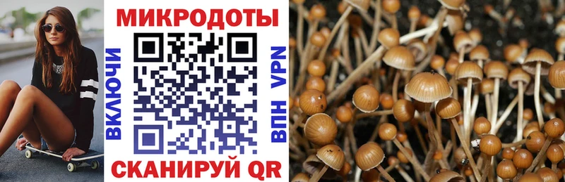 Галлюциногенные грибы мицелий  Купить  Томилино 